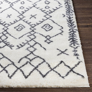 Livabliss Aliyah Moroccan Shag Rug Plush Polyester Pile for Bohemian Living Room Decor ALH2314-5373