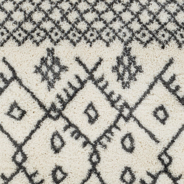 Livabliss Aliyah Moroccan Shag Rug Plush Polyester Pile for Bohemian Living Room Decor ALH2314-5373