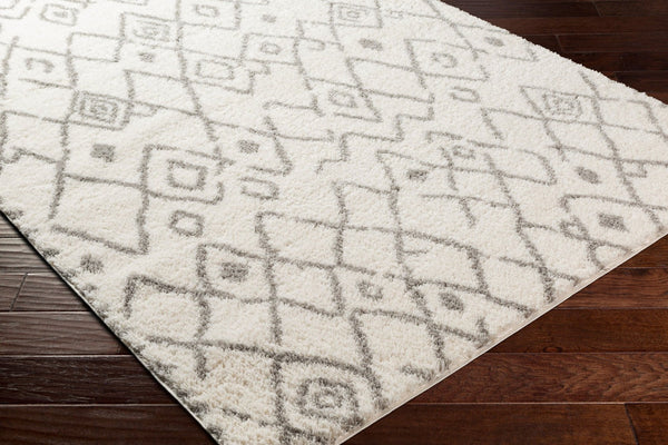 Livabliss Aliyah Global Pattern Plush Shag Polyester Area Rug for Bedroom or Reading Nook ALH2316-23