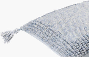 Surya Alaric 18” Accent Pillow – Luxurious Polyester Cushion With Modern Texture For Home Décor Refresh Pale Blue Recycled Pet Yarn,Polyester Alk005-2222