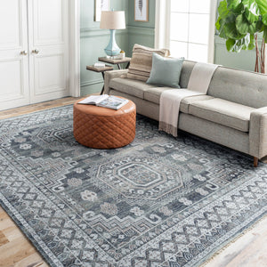 Almeria ALM-2300 8' x 10' Handmade Rug ALM2300-810  Black, Medium Gray, Light Beige, Pale Blue, Cream Surya