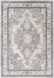 Alamo ALO-2300 7'10" x 10' Machine Woven Rug ALO2300-71010 Livabliss Surya