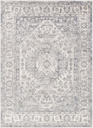 Alamo ALO-2303 7'10" x 10' Machine Woven Rug ALO2303-71010 Livabliss Surya