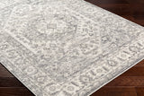 Alamo ALO-2303 7'10" x 10' Machine Woven Rug ALO2303-71010 Livabliss Surya