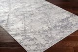 Alamo ALO-2312 7'10" x 10' Machine Woven Rug ALO2312-71010 Livabliss Surya