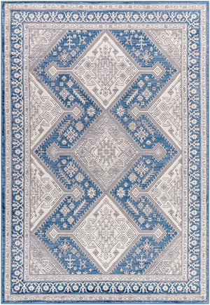 Alamo ALO-2317 7'10" x 10' Machine Woven Rug ALO2317-71010 Livabliss Surya