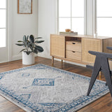 Alamo ALO-2317 7'10" x 10' Machine Woven Rug ALO2317-71010 Livabliss Surya