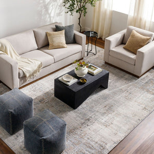 Livabliss Alpine Geometric Mid-century Machine Woven Polypropylene Accent Rug for Entryways Light Gray, Tau 2'7" x 7'3" ALP2304-2773