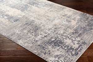 Livabliss Alpine Machine Woven Accent Rug with High Low Texture for Entryways and Bedside Gray, Charcoal 8'10" x 12'4" ALP2306-93123