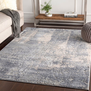Livabliss Alpine Machine Woven Accent Rug with High Low Texture for Entryways and Bedside Gray, Charcoal 8'10" x 12'4" ALP2306-93123