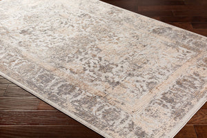 Livabliss Alpine Turkish Woven Accent Rug with High Low Pile for Entryways and Reading Nooks Light Gray, Tau 2'7" x 7'3" ALP2307-2773