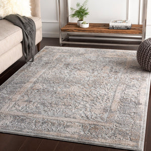 Livabliss Alpine Turkish Woven Accent Rug with High Low Pile for Entryways and Reading Nooks Light Gray, Tau 2'7" x 7'3" ALP2307-2773
