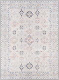 Alanya ALY-2302 8'10" x 12' Machine Woven Rug ALY2302-81012 Livabliss Surya