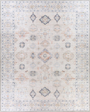 Livabliss Alanya Flatweave Turkish Area Rug Machine Woven Chenille Blend for High Traffic Rooms Rust, Dark Blue 7'7" x 9'6" ALY2302-7696