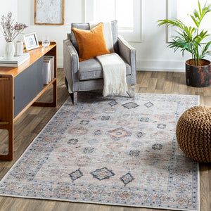 Livabliss Alanya Flatweave Turkish Area Rug Machine Woven Chenille Blend for High Traffic Rooms Rust, Dark Blue 5'3" x 7' ALY2302-537