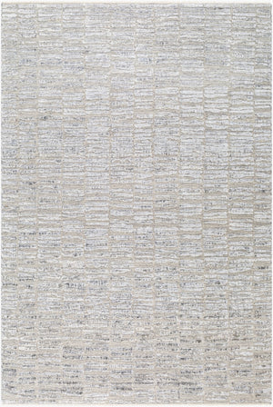 Surya Amina Ama-2300 2' X 3' Handcrafted Wool And Viscose Rug With Elegant Fringe For Stylish Home Décor Light Beige Wool,Viscose Ama2300-23