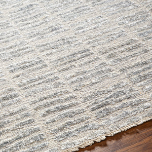 Surya Amina Ama-2300 2' X 3' Handcrafted Wool And Viscose Rug With Elegant Fringe For Stylish Home Décor Light Beige Wool,Viscose Ama2300-23
