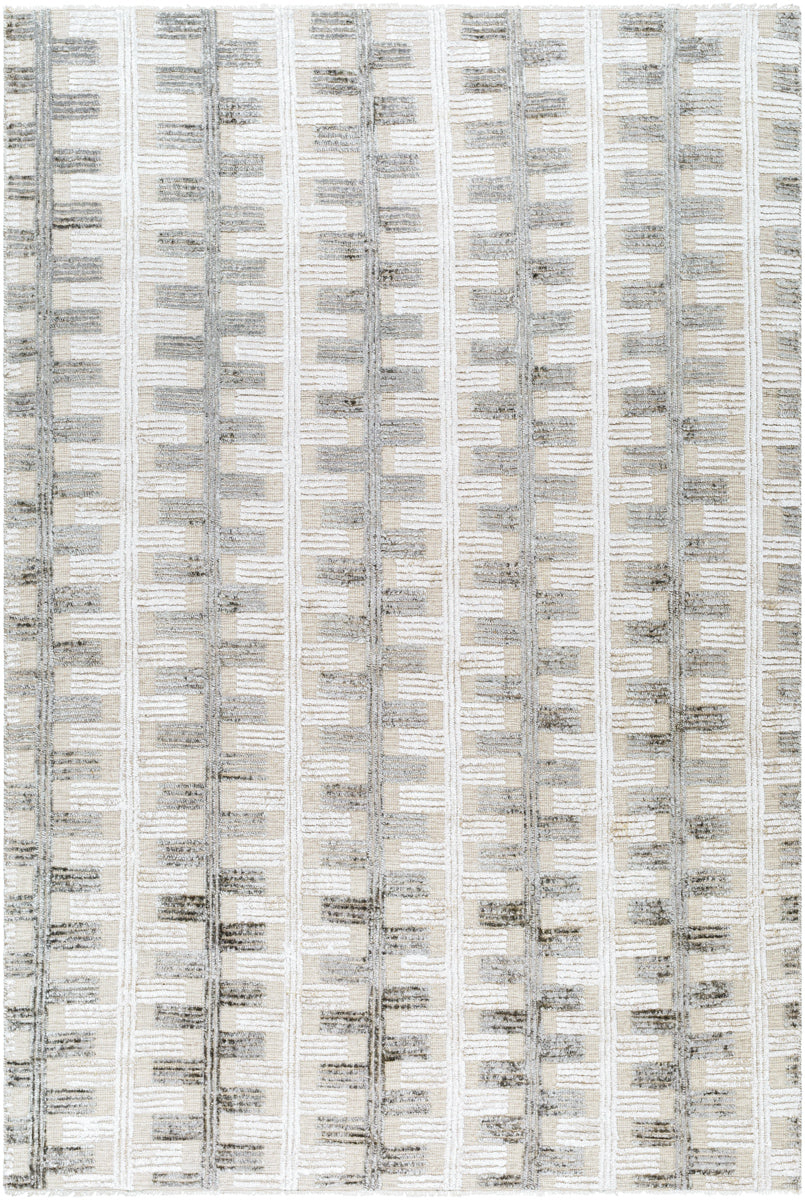 Amina AMA-2302 9' x 12' Handmade Rug AMA2302-912  Light Sage, Light Slate, Taupe, Light Beige Surya