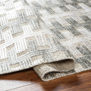 Amina AMA-2302 9' x 12' Handmade Rug AMA2302-912  Light Sage, Light Slate, Taupe, Light Beige Surya
