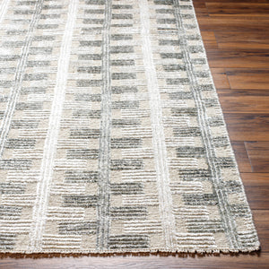 Amina AMA-2302 9' x 12' Handmade Rug AMA2302-912  Light Sage, Light Slate, Taupe, Light Beige Surya