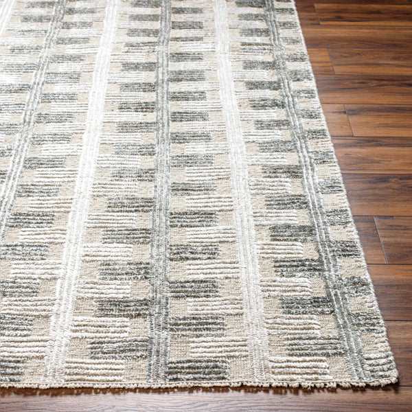 Amina AMA-2302 9' x 12' Handmade Rug AMA2302-912  Light Sage, Light Slate, Taupe, Light Beige Surya