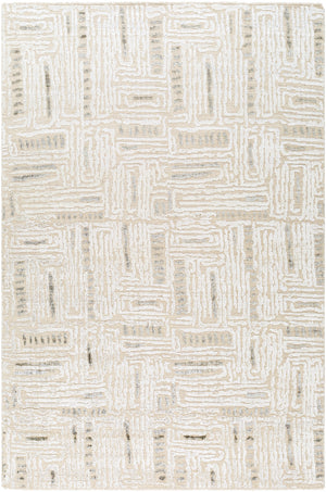 Amina AMA-2303 9' x 12' Handmade Rug AMA2303-912  Beige, Light Sage Surya