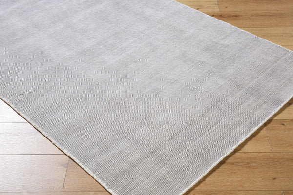 Surya Amalfi Luxurious 2' X 3' Handmade Area Rug - Modern Design With Viscose & Wool Blend For Comfort Silver Viscose,Wool Amf2304-23