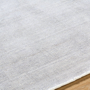 Surya Amalfi Luxurious 2' X 3' Handmade Area Rug - Modern Design With Viscose & Wool Blend For Comfort Silver Viscose,Wool Amf2304-23