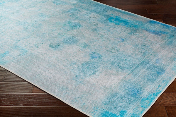 Livabliss Amelie Traditional Chenille Polyester Accent Rug Low Pile Entryway Layering Piece AML2305-23