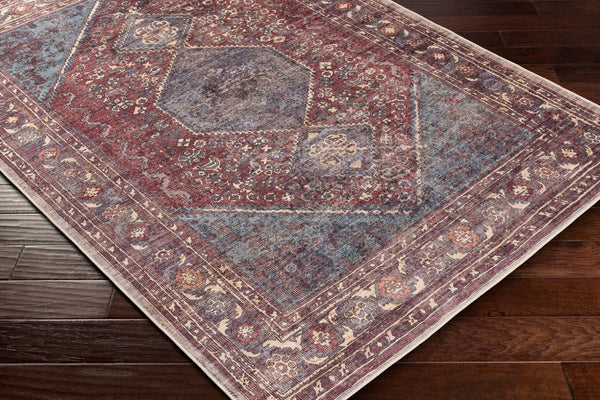 Livabliss Amelie Traditional Chenille Accent Rug Low Pile Woven Entryway Bedroom Floor Mat AML2306-23