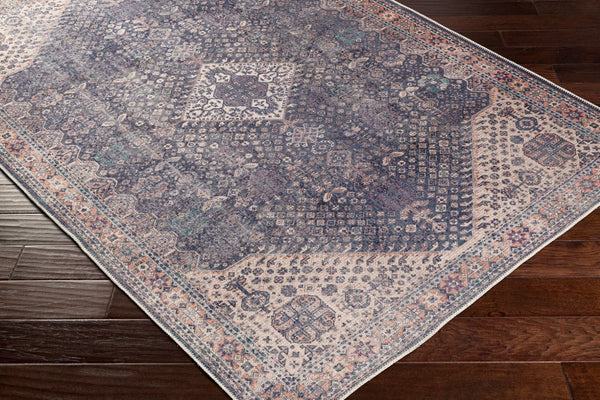 Livabliss Amelie Traditional Chenille Polyester Accent Rug Plush Low Pile for Entryway or Bath Deep Teal, Ice 2'7" x 7'10" AML2307-27710