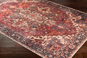 Livabliss Amelie Flatweave Chenille Polyester Accent Rug for Entryways and Compact Spaces AML2308-23