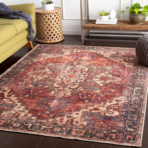 Livabliss Amelie Flatweave Chenille Polyester Accent Rug for Entryways and Compact Spaces AML2308-23