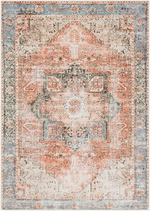 Livabliss Amelie Flatweave Chenille Cotton Rug with Traditional Pattern for Entryways and Hallways Rust, Light Gra 6'7" x 9' AML2309-679