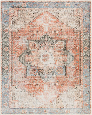 Livabliss Amelie Flatweave Chenille Cotton Rug with Traditional Pattern for Entryways and Hallways Rust, Light Gra 7'10" x 10'2" AML2309-710103