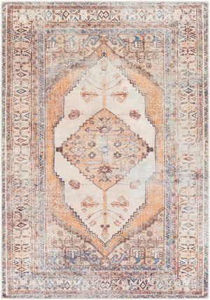 Amelie AML-2312 5'3" x 7'3" Machine Woven Rug AML2312-5373 Livabliss Surya