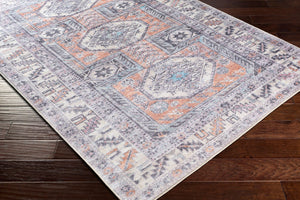 Livabliss Amelie Chenille Polyester Traditional Rug Soft Low Pile Entryway Accent Woven Blue, Apricot 2'7" x 7'10" AML2316-27710