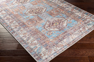 Livabliss Amelie Traditional Chenille Machine Woven Accent Rug for Entryway or Console Table Slate, Coral 2' x 2'11" AML2321-2211