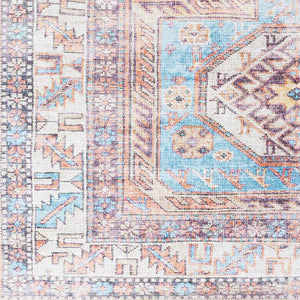 Livabliss Amelie Traditional Chenille Machine Woven Accent Rug for Entryway or Console Table Slate, Coral 2' x 2'11" AML2321-2211