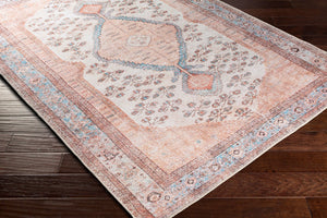 Livabliss Amelie Flatweave Chenille Area Rug Turkish Traditional Pattern for Entryways Hallways Blush, Light Gr 2' x 2'11" AML2326-2211