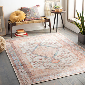 Livabliss Amelie Flatweave Chenille Area Rug Turkish Traditional Pattern for Entryways Hallways Blush, Light Gr 2' x 2'11" AML2326-2211