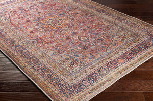 Livabliss Amelie Traditional Chenille Area Rug Low Pile Machine Woven for Living and Dining Rooms Burnt Orange, D 7'10" x 10'2" AML2331-710102