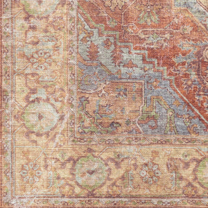 Livabliss Amelie Traditional Flatweave Chenille Area Rug for Living and Dining Rooms Denim, Burnt Or 8'10" x 12' AML2336-81012