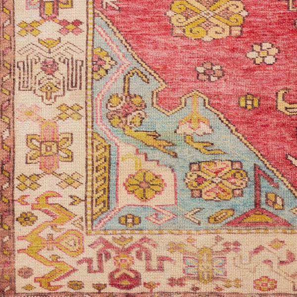 Livabliss Amelie Traditional Chenille Polyester Area Rug Soft Low Pile for Living and Dining Rooms Pink, Saffron 8'10" x 12' AML2346-81012