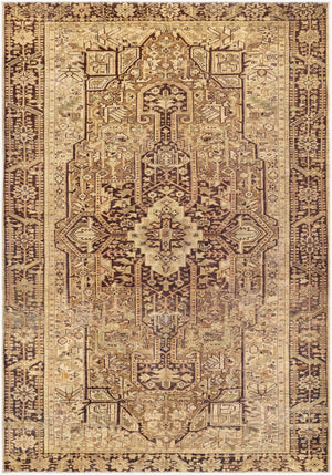 Livabliss Amelie Chenille Area Rug Traditional Motifs Soft Transitional Style for Living Rooms Mustard, Brown 8'10" x 12' AML2348-81012