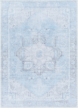 Livabliss Amelie Traditional Flat Weave Runner Rug Chenille Cotton Blend Hallway Accent Light Blue, Ice 6'7" x 9' AML2362-679