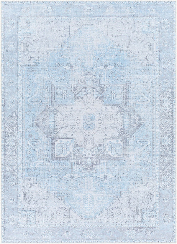 Livabliss Amelie Traditional Flat Weave Runner Rug Chenille Cotton Blend Hallway Accent Light Blue, Ice 6'7" x 9' AML2362-679