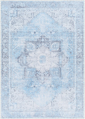 Livabliss Amelie Traditional Flat Weave Runner Rug Chenille Cotton Blend Hallway Accent Light Blue, Ice 5'3" x 7'3" AML2362-5373