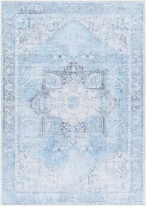 Livabliss Amelie Traditional Flat Weave Runner Rug Chenille Cotton Blend Hallway Accent Light Blue, Ice 5'3" x 7'3" AML2362-5373