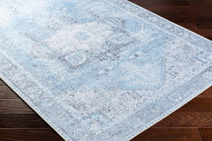 Livabliss Amelie Traditional Flat Weave Runner Rug Chenille Cotton Blend Hallway Accent Light Blue, Ice 2'7" x 18' AML2362-2718